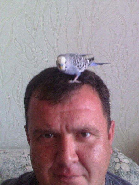 Эдуард Дорофеев