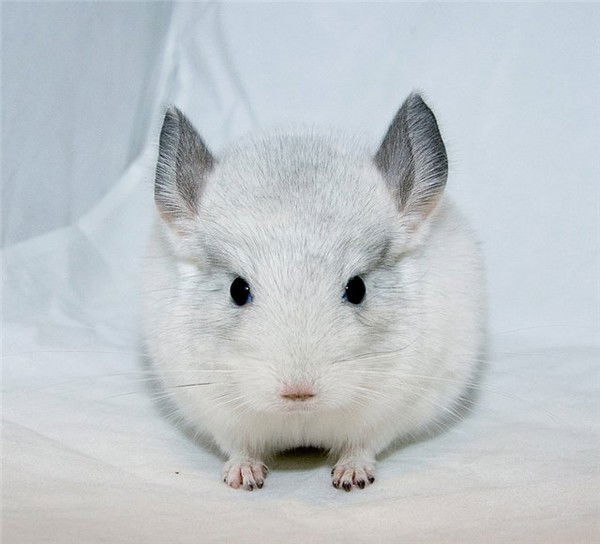 Ірина Глинюк