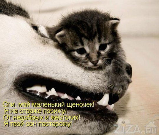 Любовь Каблова