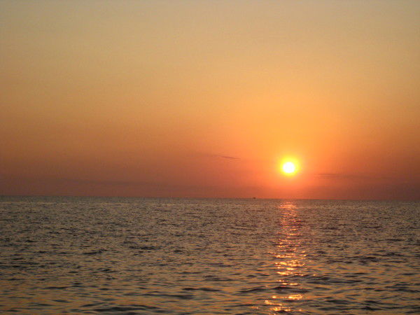 Наталья Коновалова