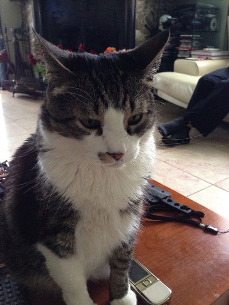 Татьяна Романова