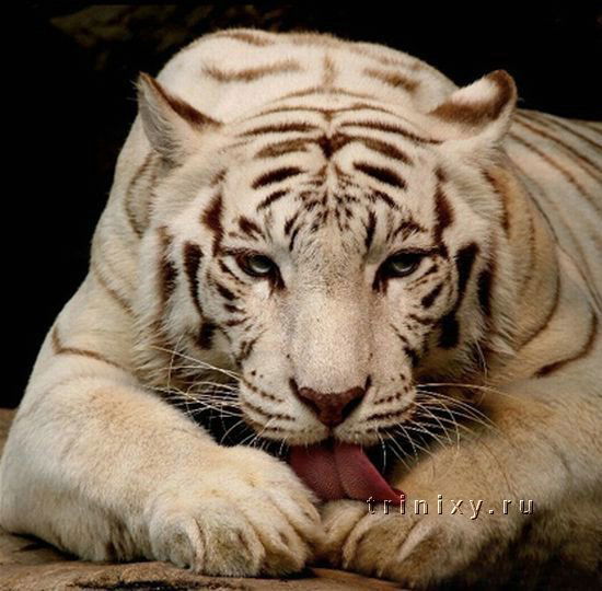 Jyhf76Fioj0 Pogt7Fuih