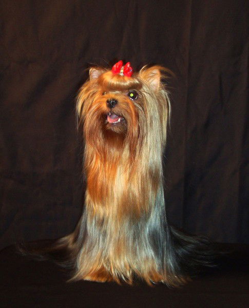 Венера Колязова