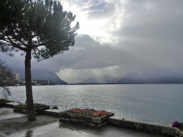 Юлия Коломиец