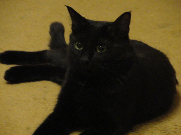 Виктория Михайлюк