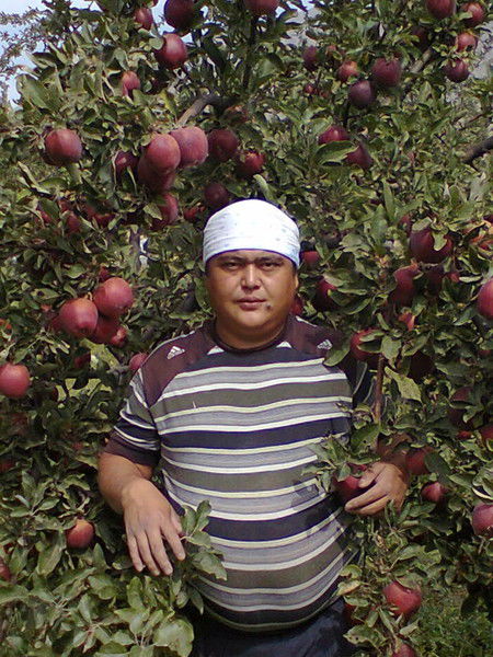 Костя Ризоев