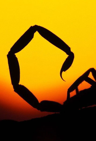 Маргарита Изгина