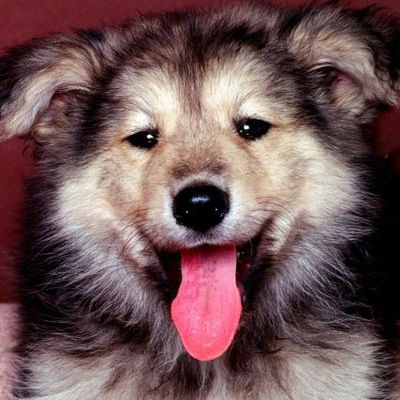 Святослав Кустов