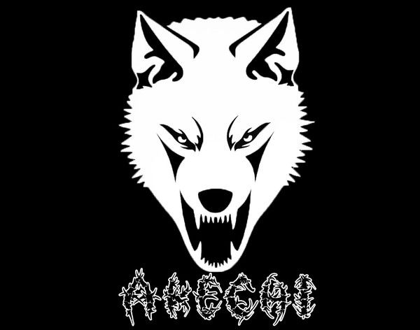 Илья Шкурин