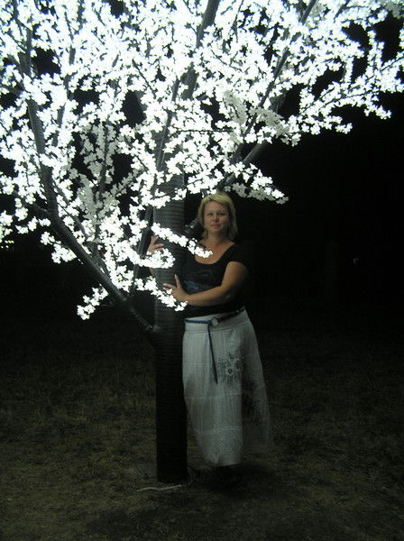 Наталья Солдатенкова