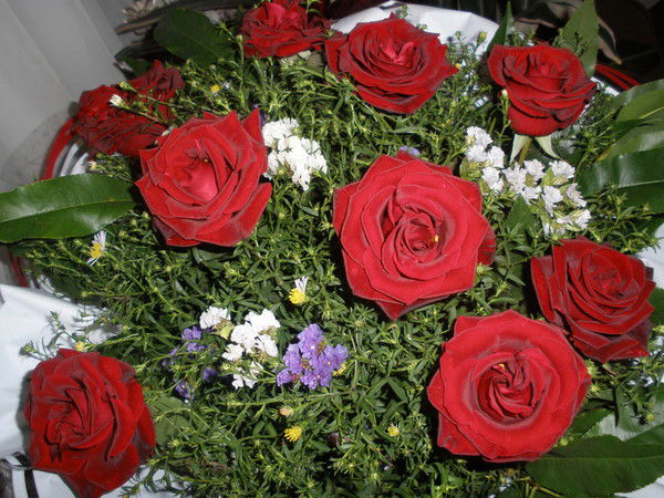 Наталья Никольская