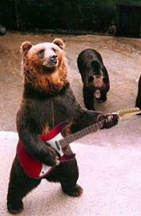 Никита Митрофанов