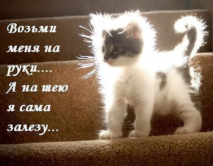 Зулечка ******