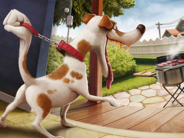 Дарья Дарья