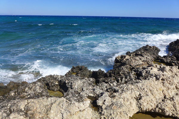 Евгения Федорова