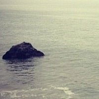 Оля Чикалёва