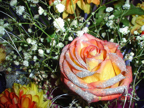 Анжела Нестерова