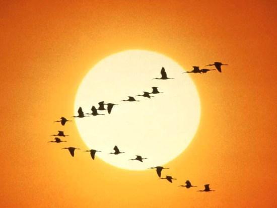 Денис Вахитов