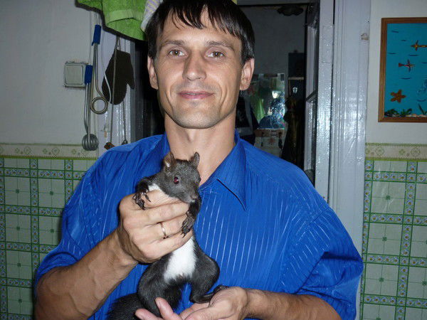 Алексей Шипицын