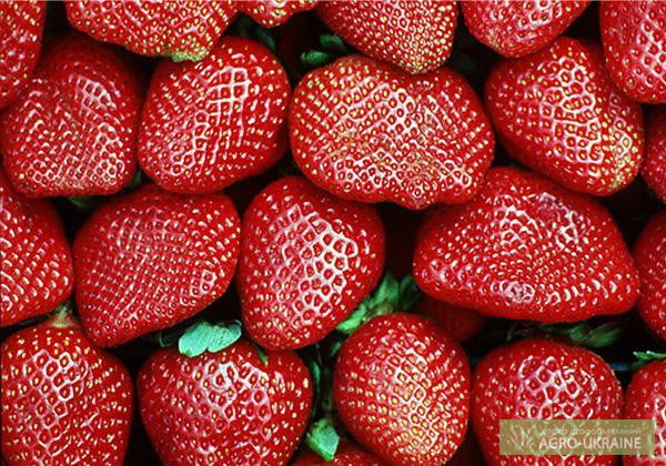 !!!!!!!!!!!!!!!!! ______________________