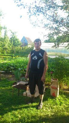 Алексей Махотин