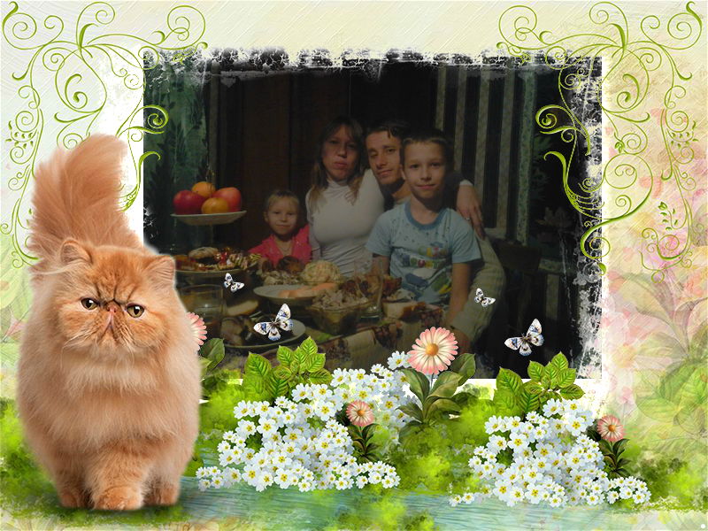 Света Беляева