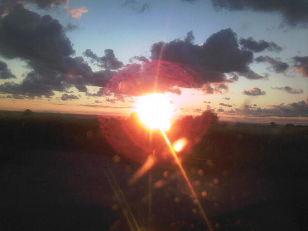 Светлана Каленикова