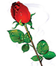 Света Бисенгалиева