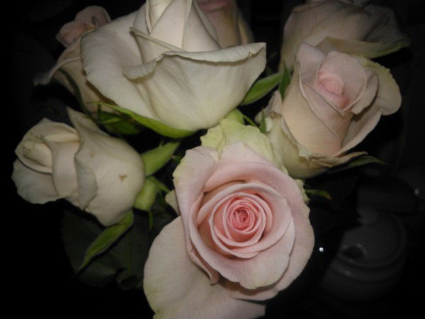 Екатерина Лаверычева