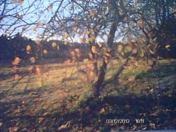 Наталья Юрченко