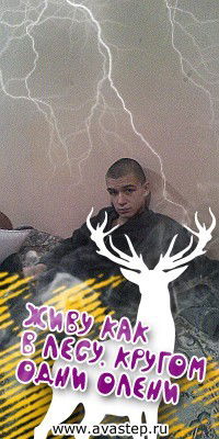 Никита Бардаков