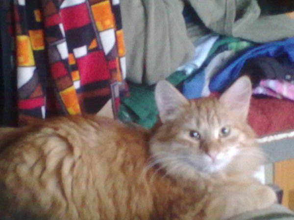 Александр Егоров