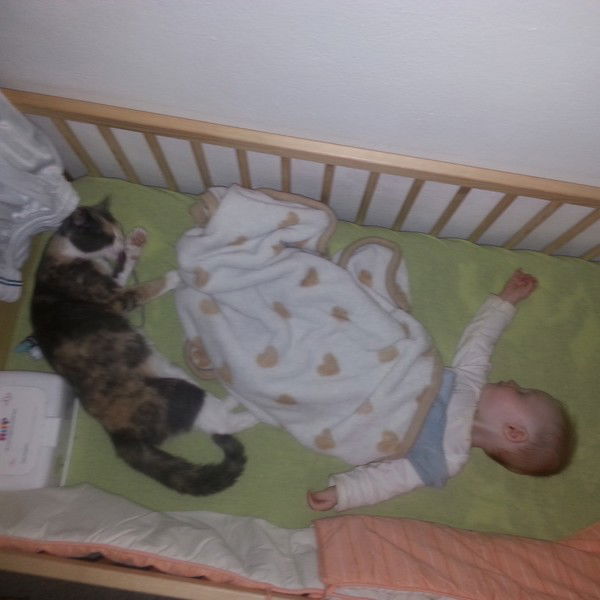 Алина Нестеренко