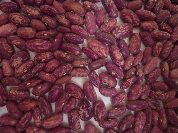 Иванов Иван