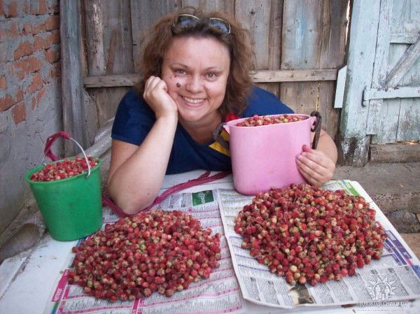 Светлана Трубина