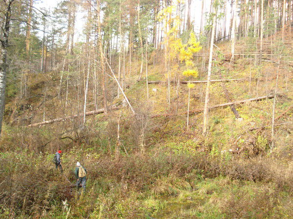 Татьяна Бондарева