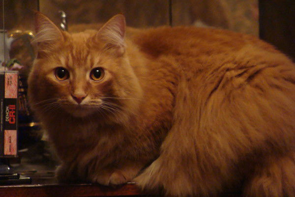 Сергей Диюнов