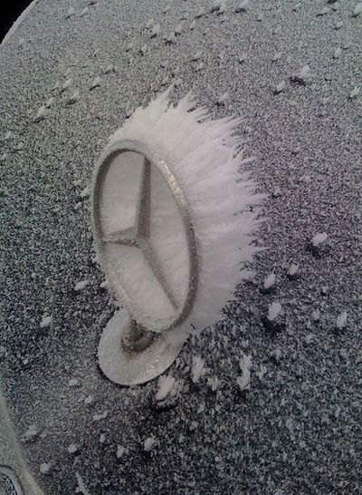 Вадим Петров