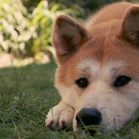 Аня Червякова