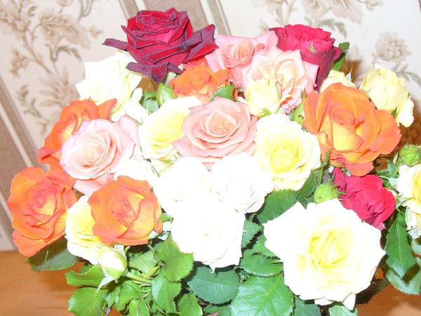 Зяблова Ольга