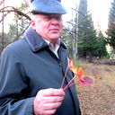 Николай Лебедев