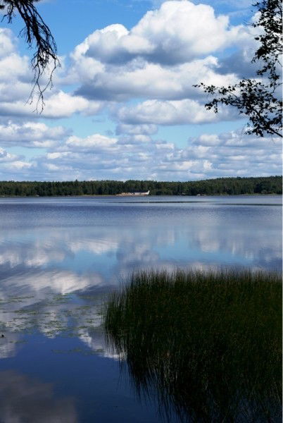 Татьяна Нигей