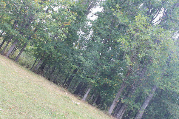 Гульнара ***