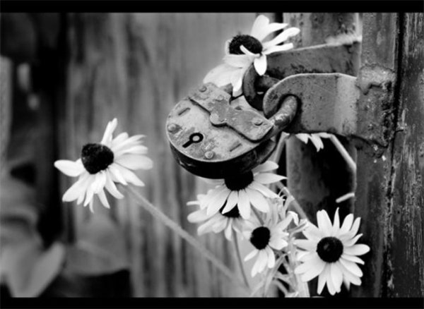 Оля Коробова