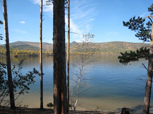 Юрий Скворцов