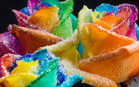 Разия Джинахунова