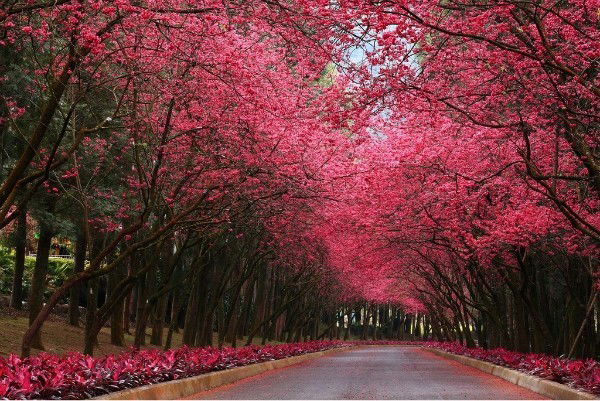 Динара Мараханова