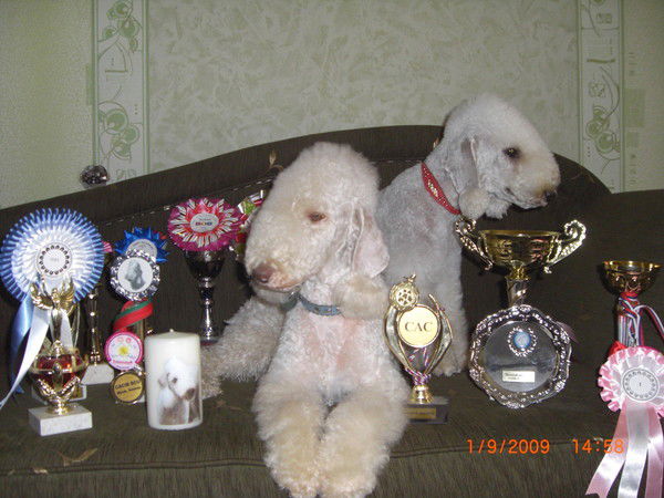 Ольга Зиновьева