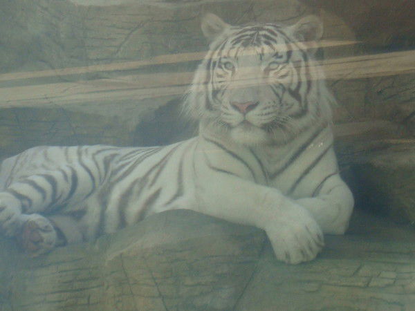 Наталья Титова