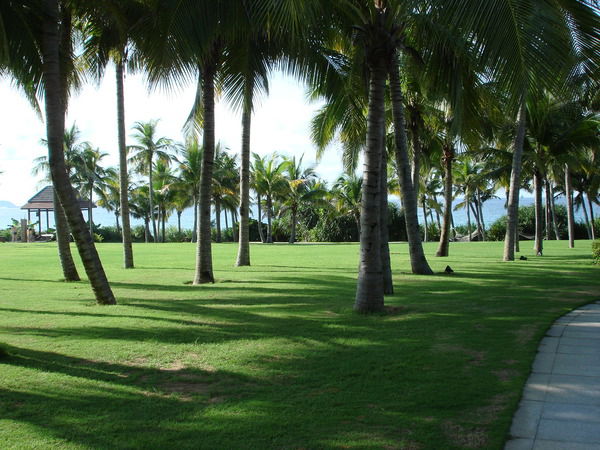 Наталья Ефремова